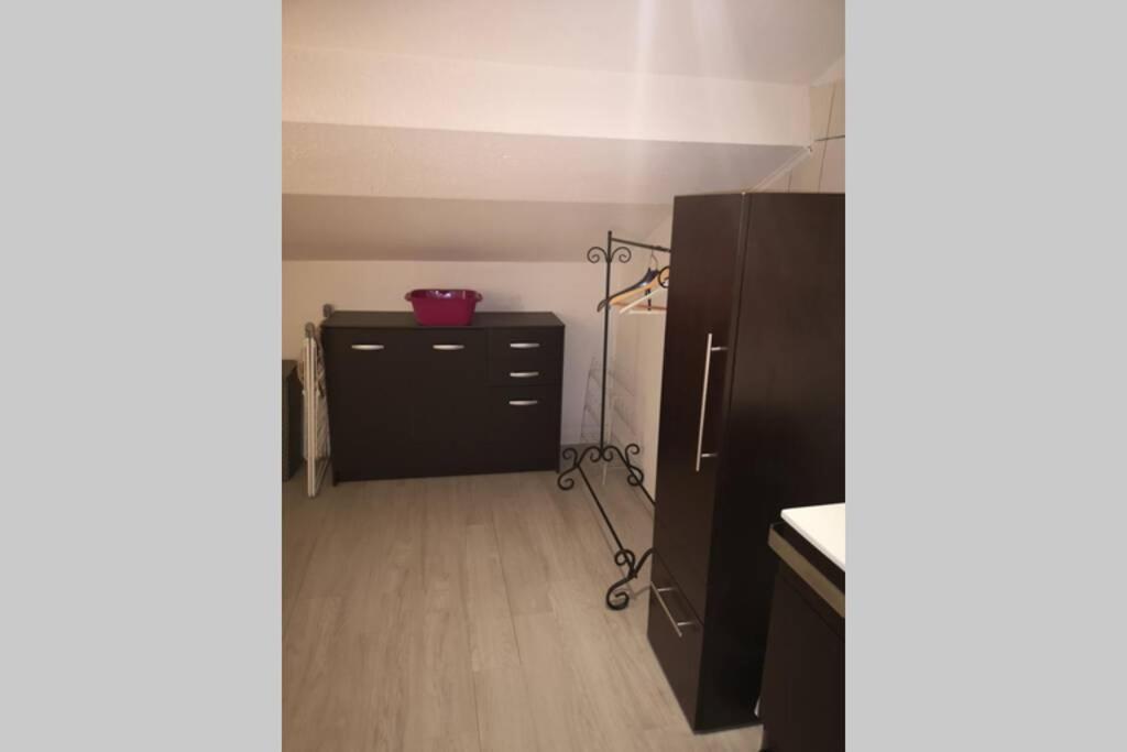 Charmant Appartement Climatise Au Coeur De La Capitale Corse Корте Екстериор снимка